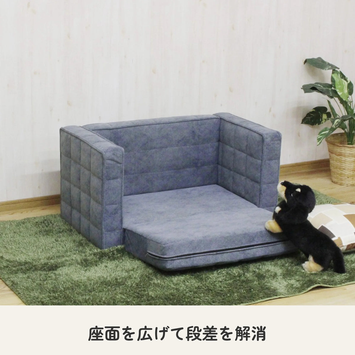 撥水加工ファブリックと天然木フレームのペットソファー 4