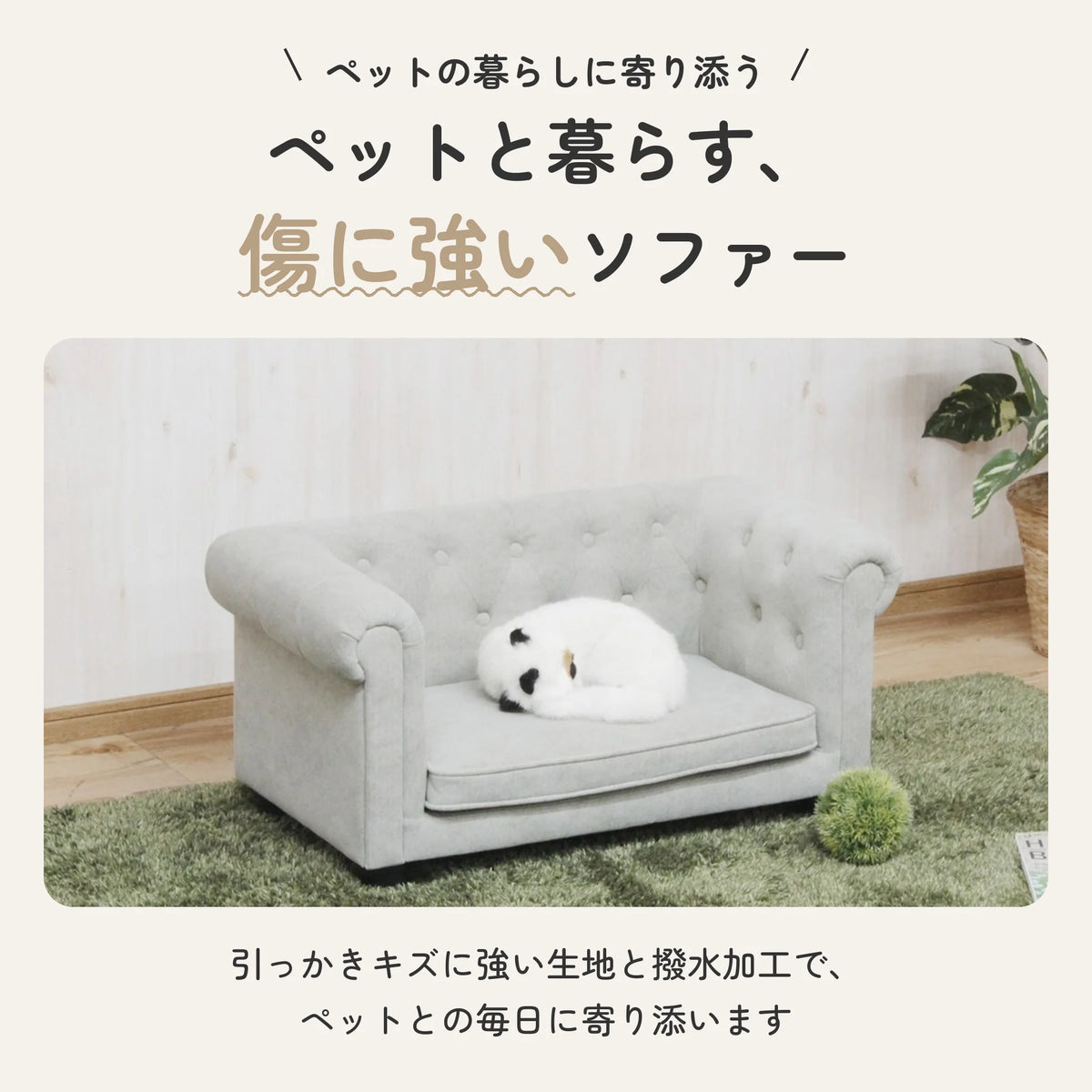 ペットソファー 撥水加工ファブリック 天然木フレーム 犬猫用 2