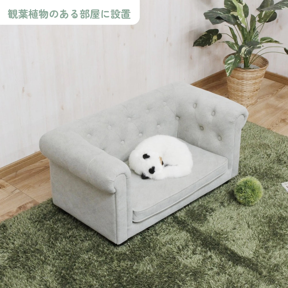 ペットソファー 撥水加工ファブリック 天然木フレーム 犬猫用 6