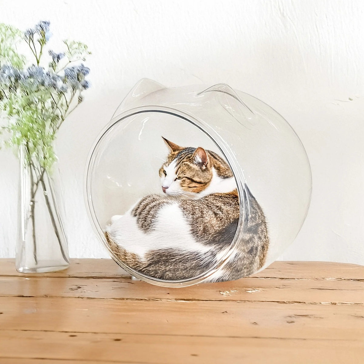 猫耳デザインの透明なPET素材スケルトンボール型猫ベッド