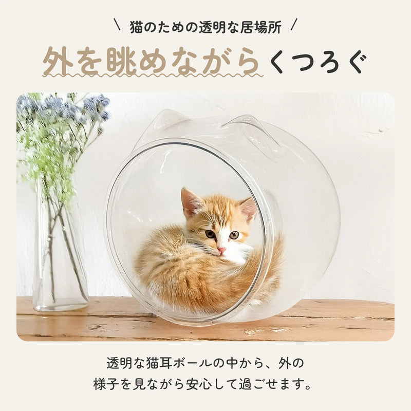 猫耳デザインの透明なPET素材スケルトンボール型猫ベッド 2