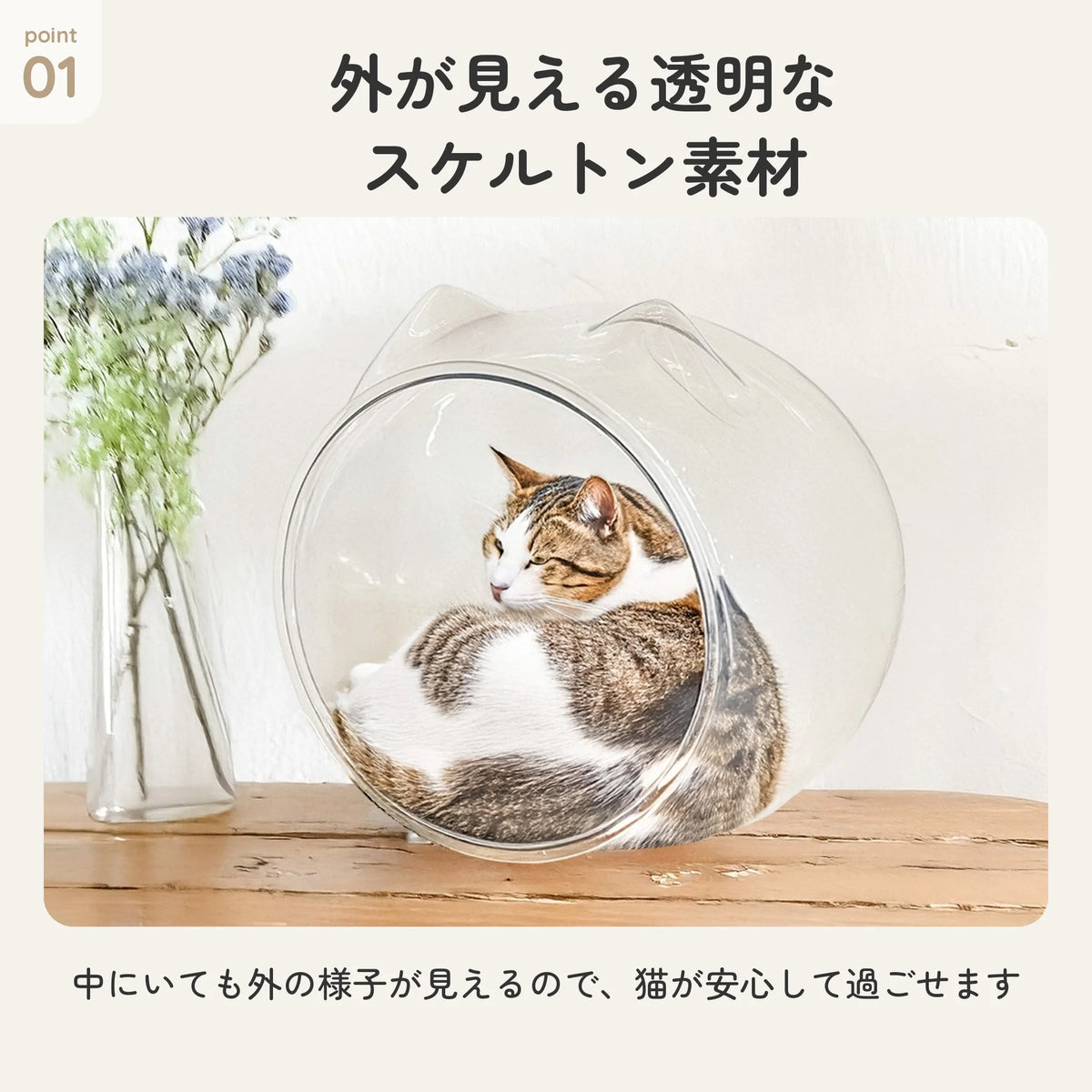 猫耳デザインの透明なPET素材スケルトンボール型猫ベッド 3