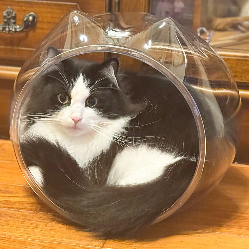 猫耳デザインの透明なPET素材スケルトンボール型猫ベッド 5