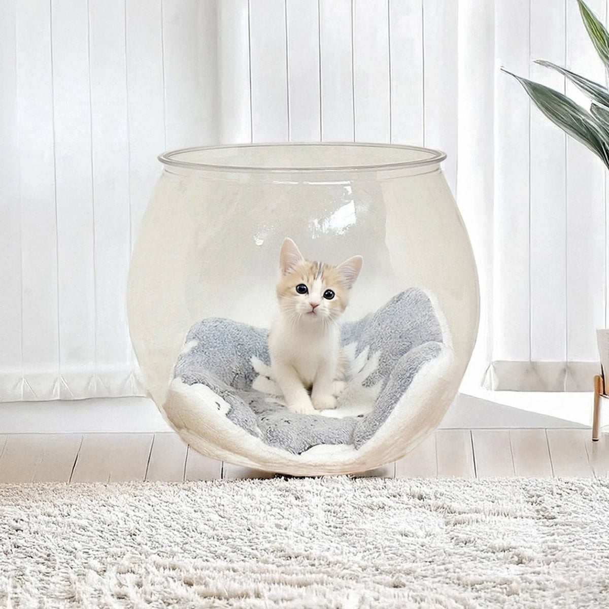 PET素材の透明な猫用ベッド スケルトンボール型 クッション付