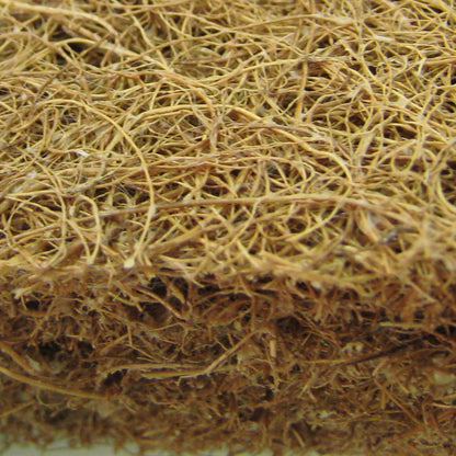 通気性抜群！ココナッツパームマットレス